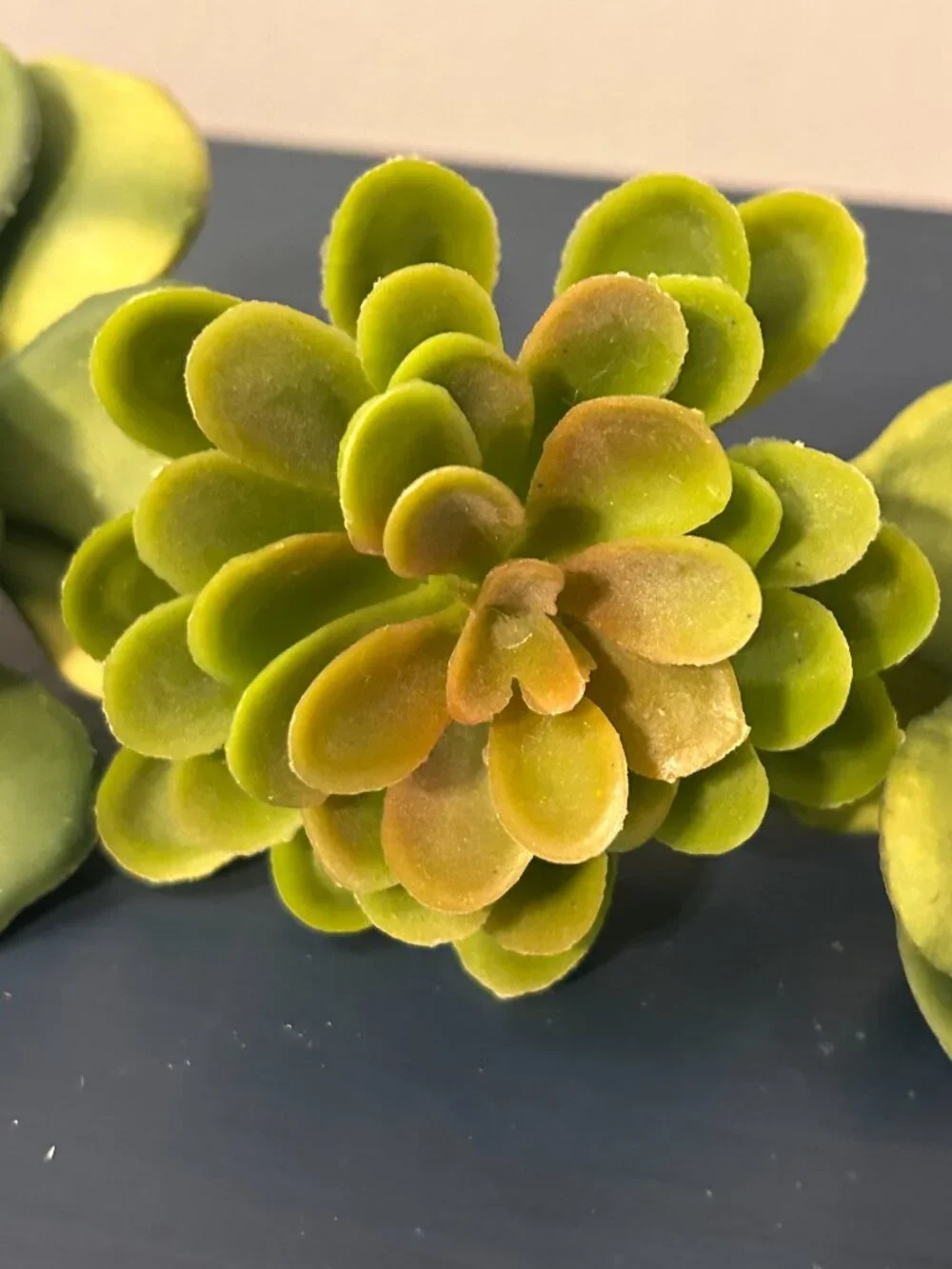 Bundle of Faux Succulents